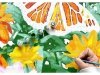 OBRAZ MALOWANIE PO NUMERACH RAMA 45x45cm SPACER W DESZCZU - WYSYŁKA 24H
